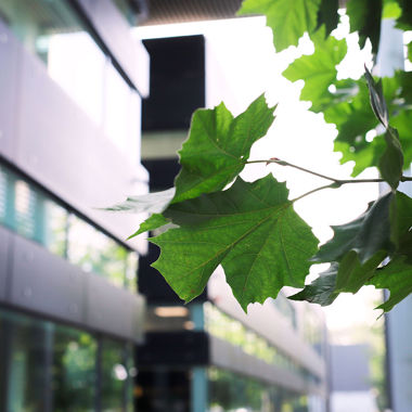 DAFA HQ ESG